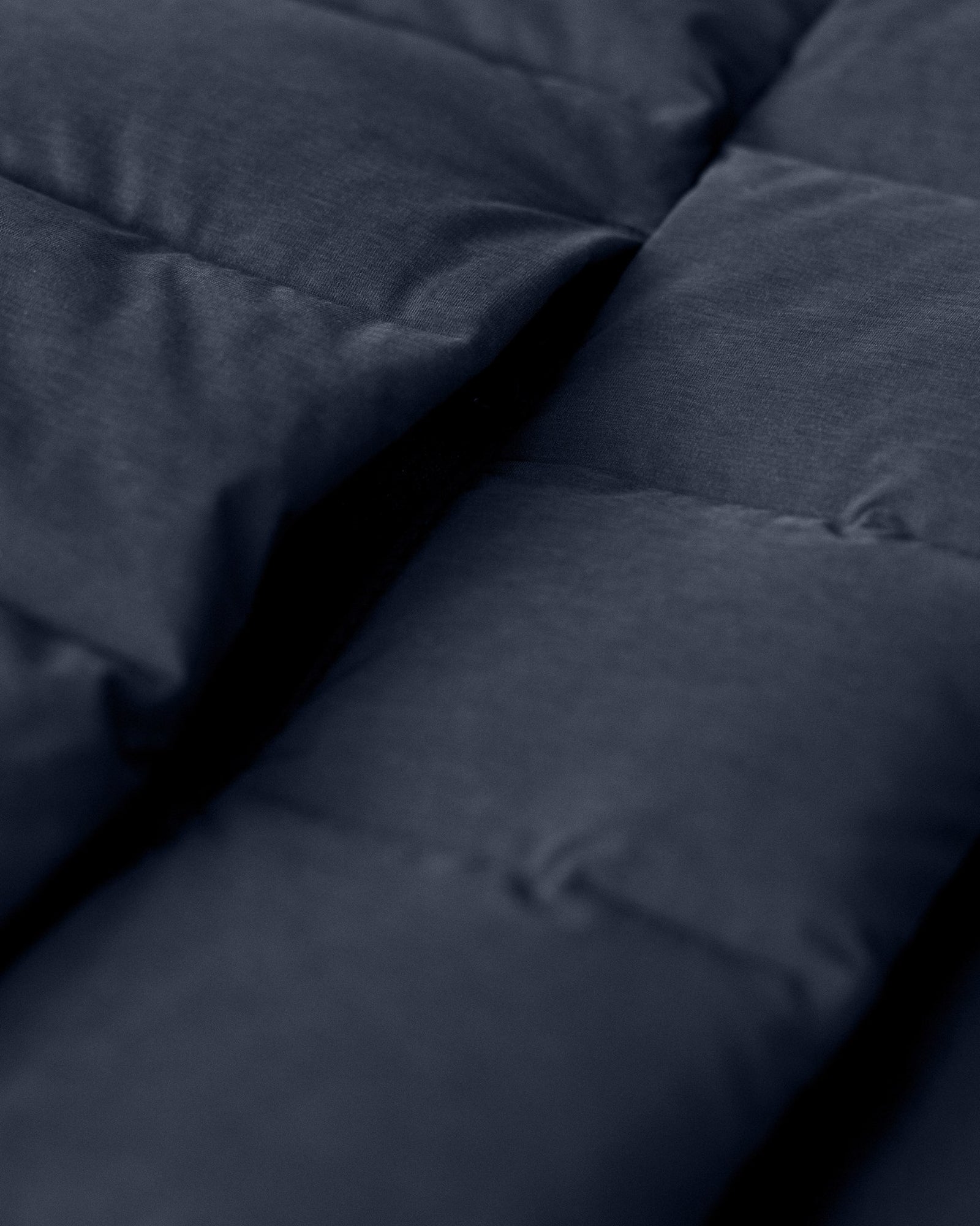 Avalon Men Navy Back